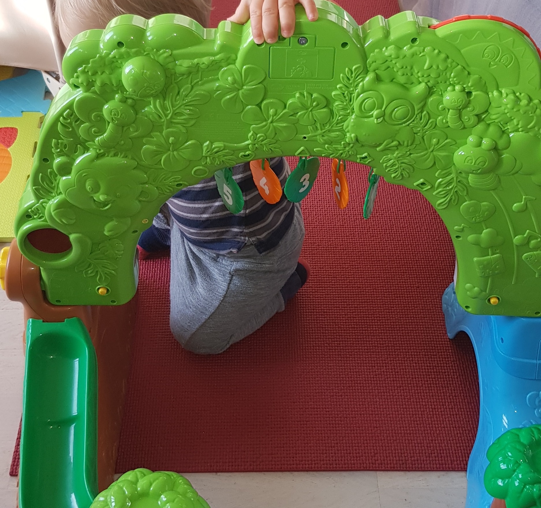 Pré-visualisation