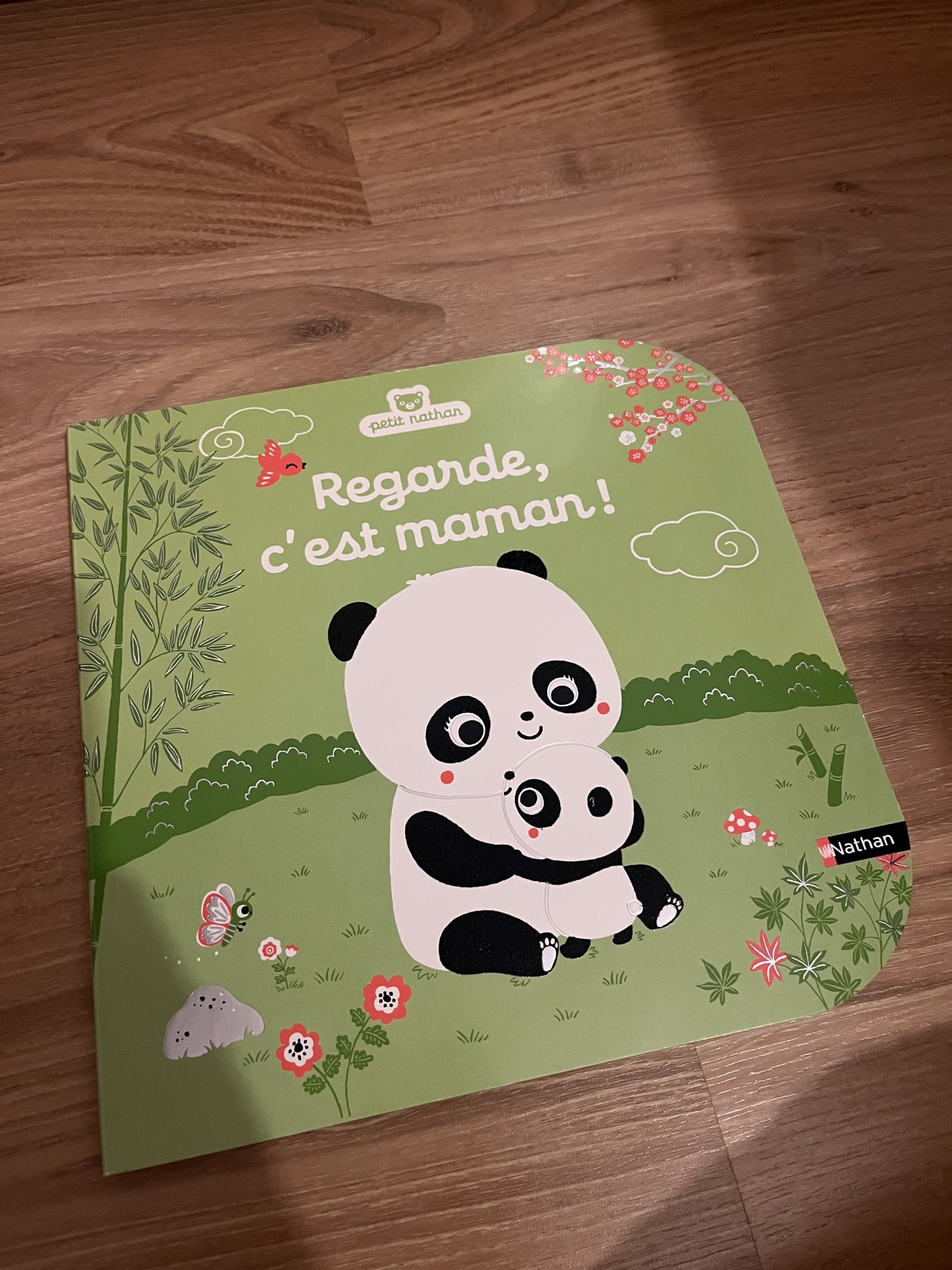 Pré-visualisation