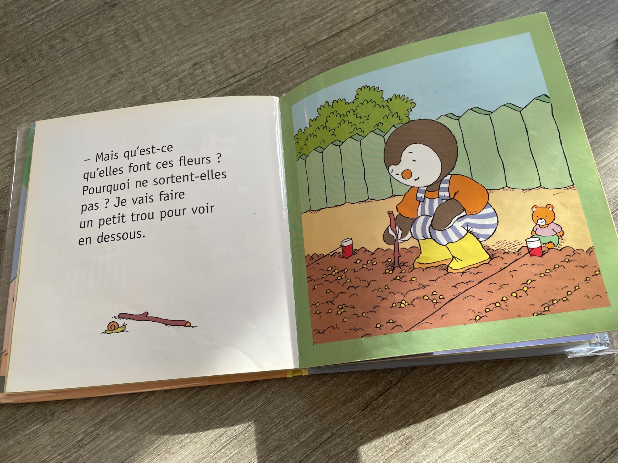Pré-visualisation