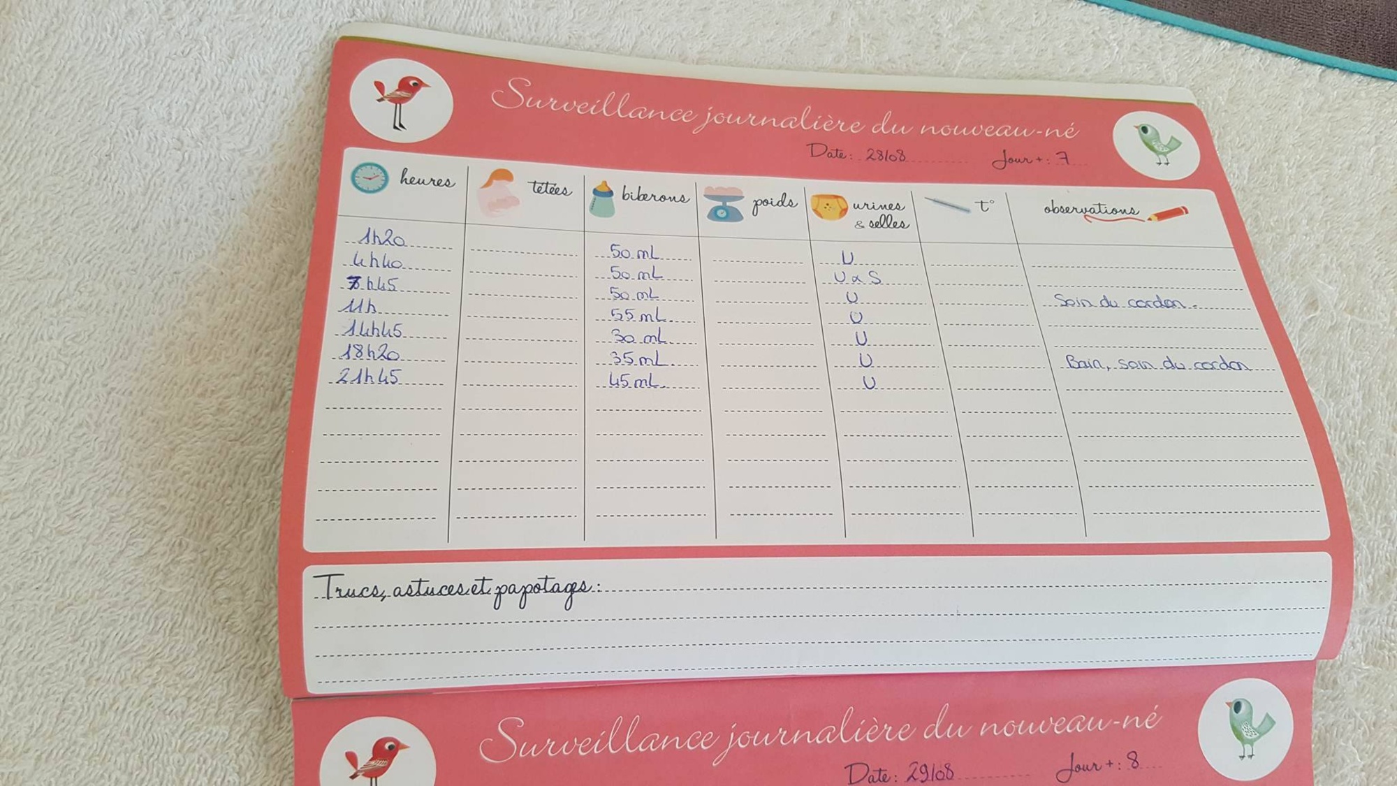 Pré-visualisation