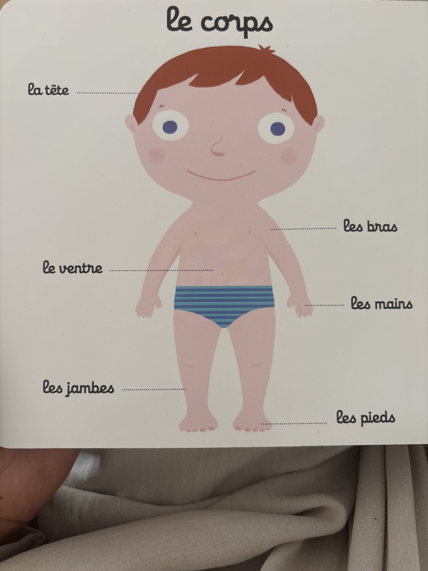 Pré-visualisation