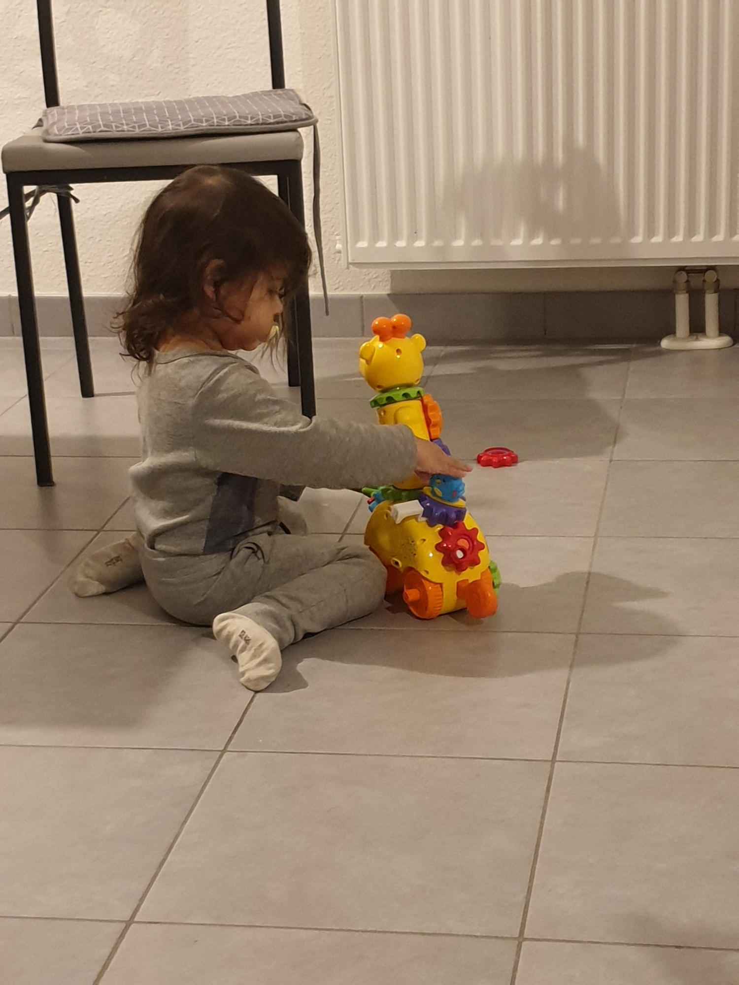 Pré-visualisation