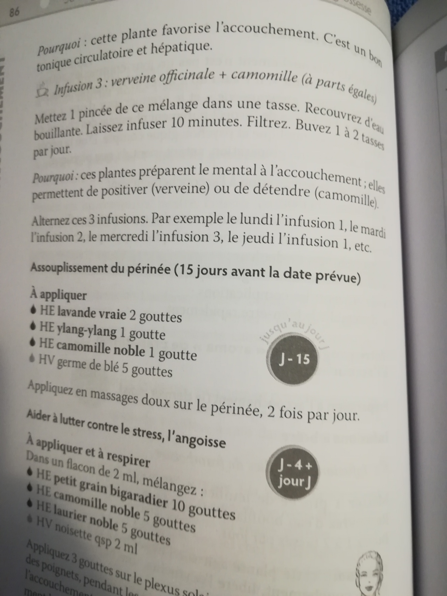 Pré-visualisation
