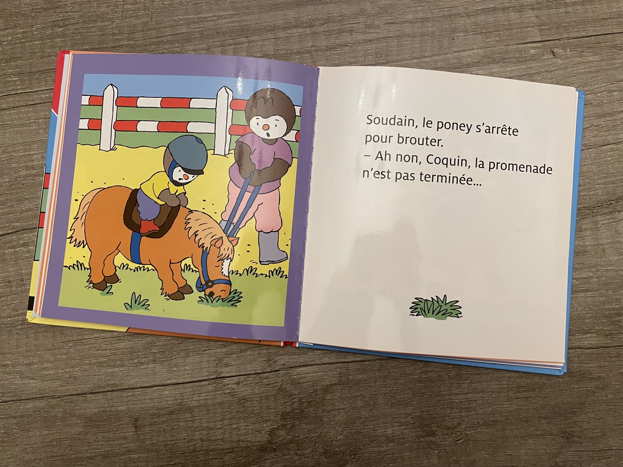 Pré-visualisation