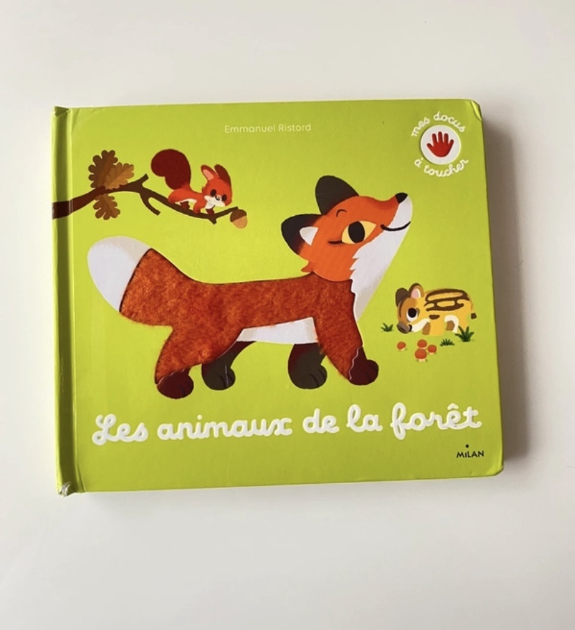 Pré-visualisation