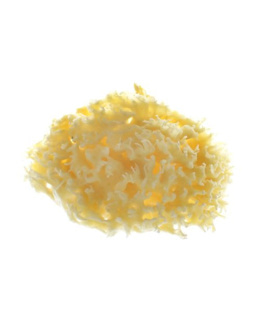 Eponge De Bain 100 Naturelle Comparateur Avis Prix Consobaby Eponge De Bain 100 Naturelle Comparateur Avis Prix Consobaby
