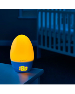 Thermometre Hygrometre Chambre Comparateur Avis Prix Consobaby