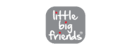 Little Big Friends