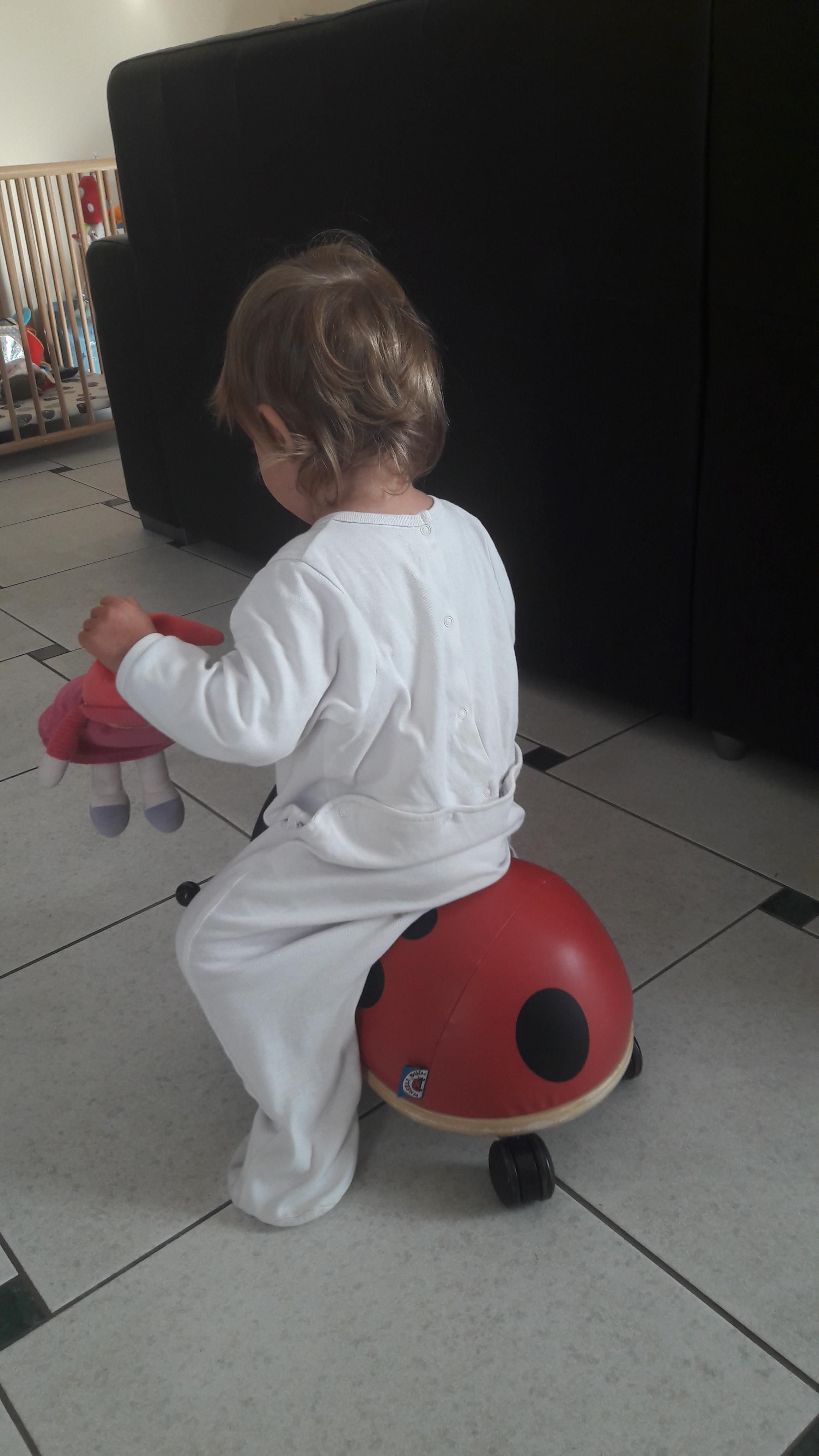 porteur souris wheely bug